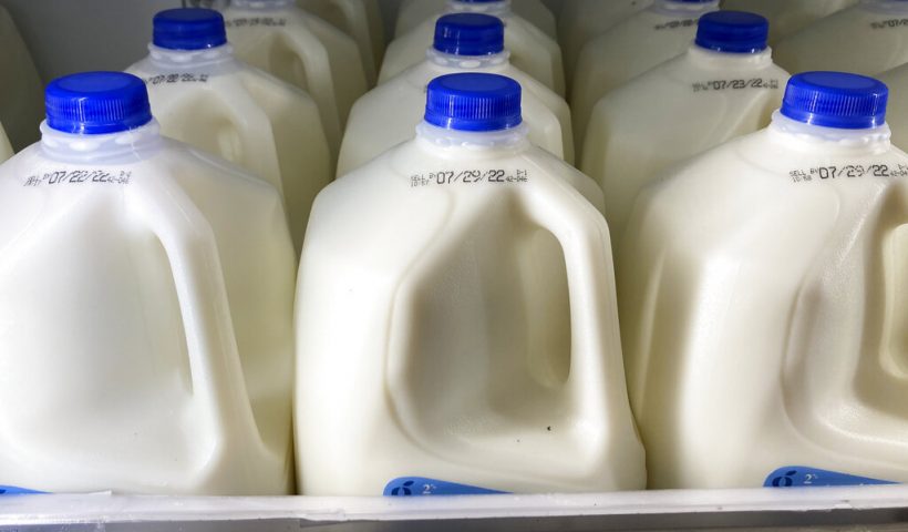 Milk is displayed at a grocery store in Philadelphia, Tuesday, July 12, 2022. On Wednesday, July 13, 2022, the Labor Department will report on U.S. consumer prices for June. (AP Photo/Matt Rourke)