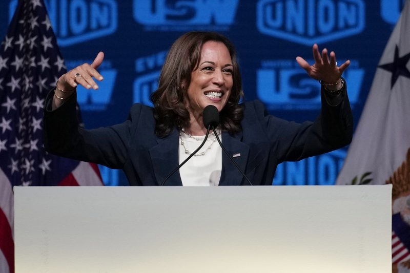 Vice President Kamala Harris speaks at a United Steelworkers convention Wednesday, Aug. 10, 2022, in Las Vegas. (AP Photo/John Locher)
