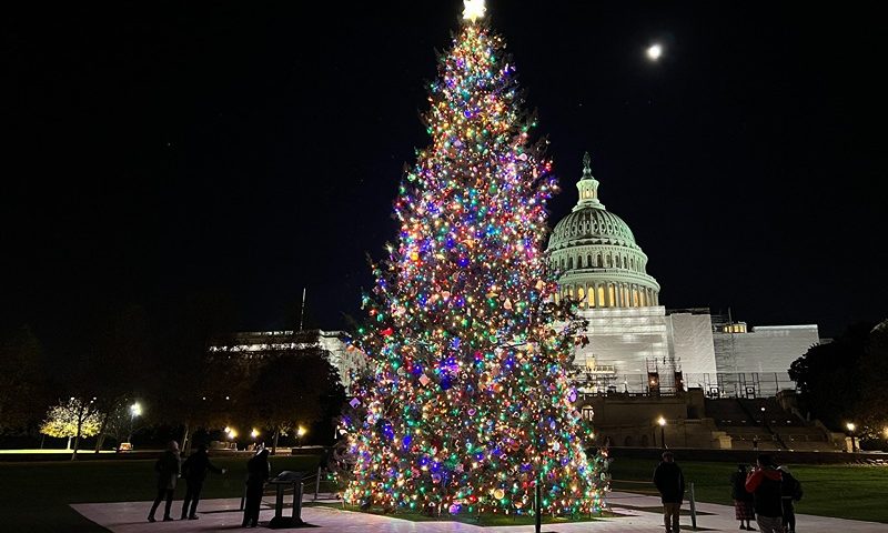 Visitors look at the US Capitol Christmas tree, a Red Spruce from Pisgah Ranger National Forest in North Carolina, on Capitol Hill in Washington, DC, on December 5, 2022. (Photo by Daniel SLIM / AFP) (Photo by DANIEL SLIM/AFP via Getty Images)