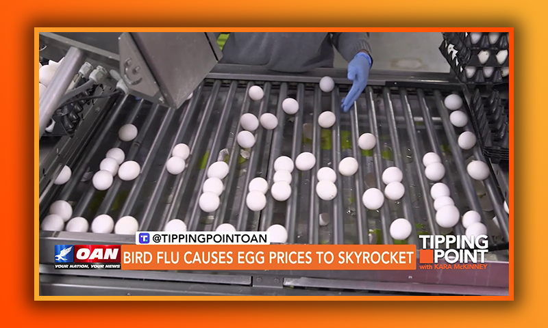 Bird Flu Causes Egg Prices To Skyrocket
