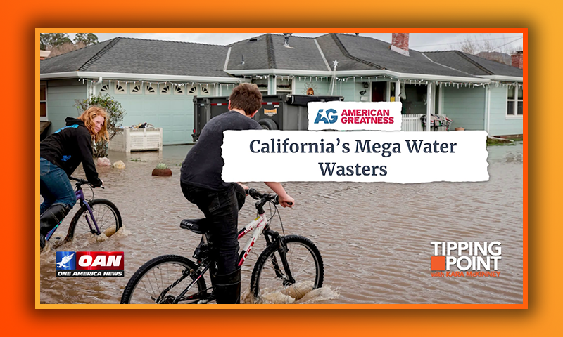 California's Mega Water Wasters