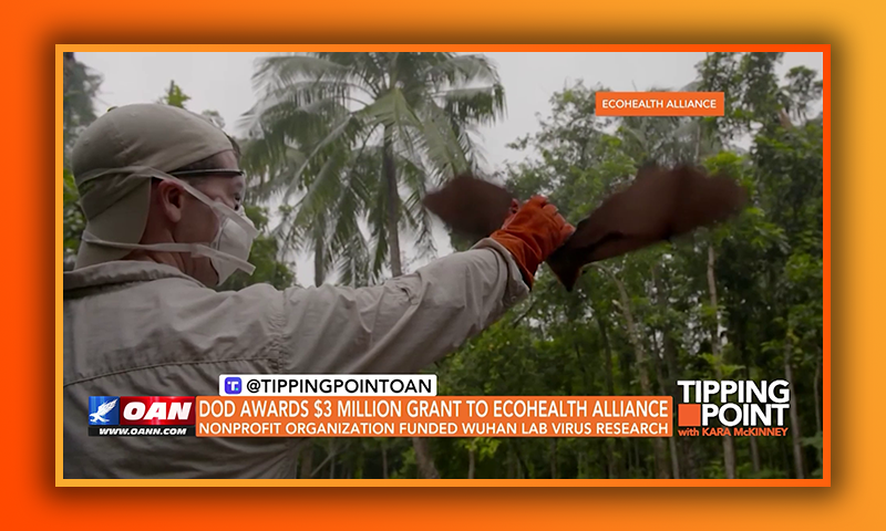DOD Awards $3 Million Grant to EcoHealth Alliance