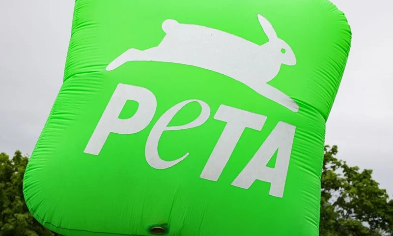 The logo of the international non-governmental animal rights organisation People for the Ethical Treatment of Animals (PETA) is pictured during a protest on the sidelines of the G7 agriculture ministers meeting in Stuttgart, southern Germany, on May 13, 2022. (Photo by Yann Schreiber / AFP) (Photo by YANN SCHREIBER/AFP via Getty Images)
