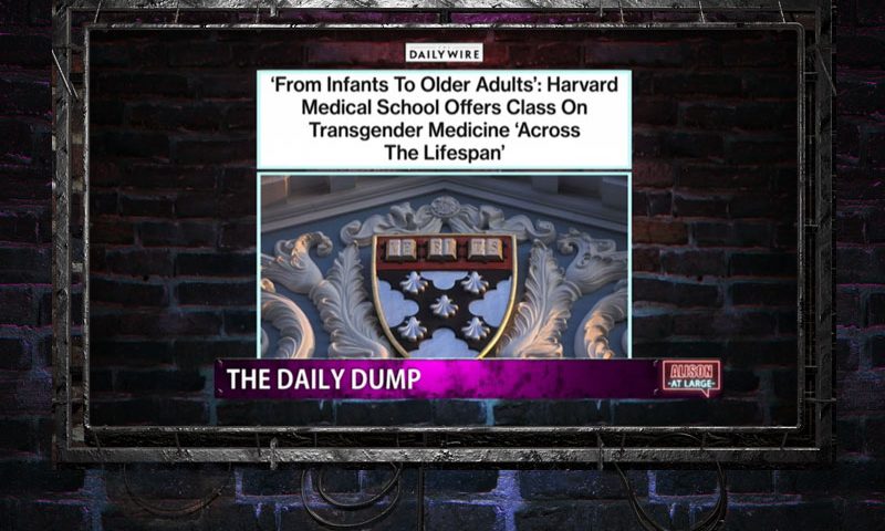 Video still from Alison At Large on One America News Network