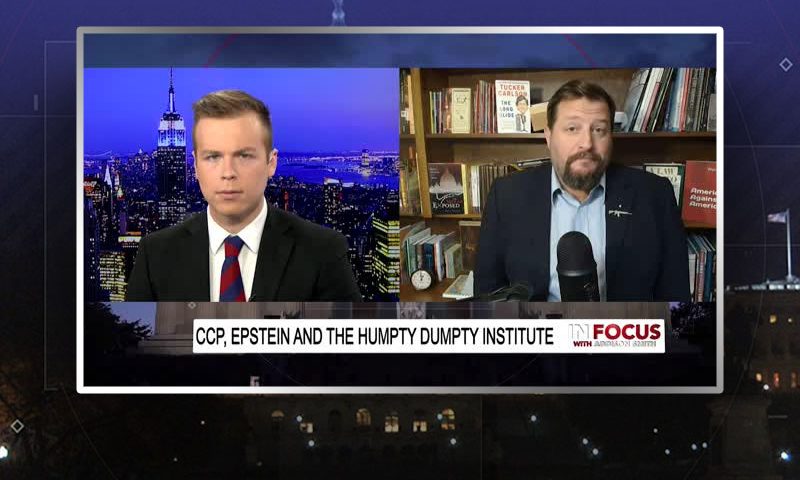 Video still from Noel Fritsch's interview with In Focus on One America News Network
