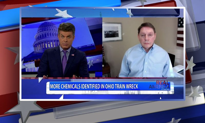 Video still from Steve Milloy's interview with Real America on One America News Network