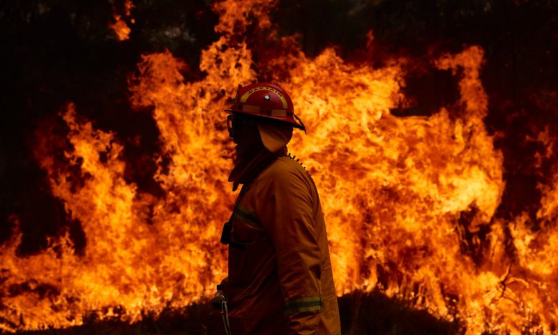 SYDNEY, AUSTRALIA - NOVEMBER 14: A CFA Member works on controlled back burns along Putty Road on November 14, 2019 in Sydney, Australia. Crews are working hard to gain the upper hand after devastating fires tore through areas near Colo Heights. Bushfires from the Gospers Mountain bushfire continue to burn. An estimated million hectares of land has been burned by bushfire following catastrophic fire conditions - the highest possible level of bushfire danger. While conditions have eased, fire crews remain on high alert as dozens of bushfires continue to burn. A state of emergency was declared by NSW Premier Gladys Berejiklian on Monday 11 November and is still in effect, giving emergency powers to Rural Fire Service Commissioner Shane Fitzsimmons and prohibiting fires across the state. (Photo by Brett Hemmings/Getty Images)