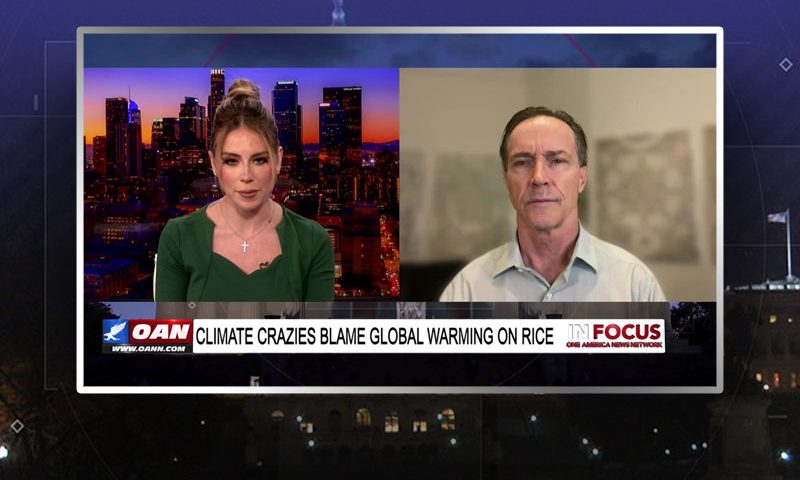 Video still from Dane Wigington's interview with In Focus on One America News Network