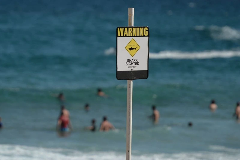 (Photo by PETER PARKS/AFP via Getty Images)