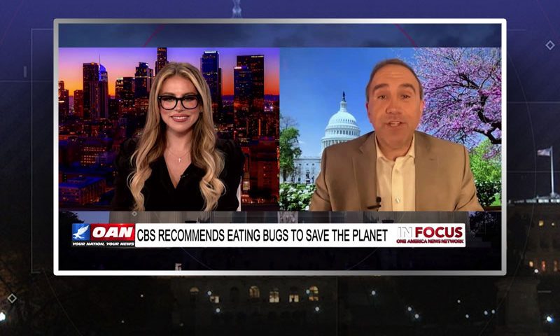 Video still from Marc Morano's interview with In Focus on One America News Network