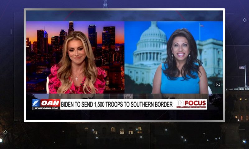 Video still from Brigitte Gabriel's interview with In Focus on One America News Network