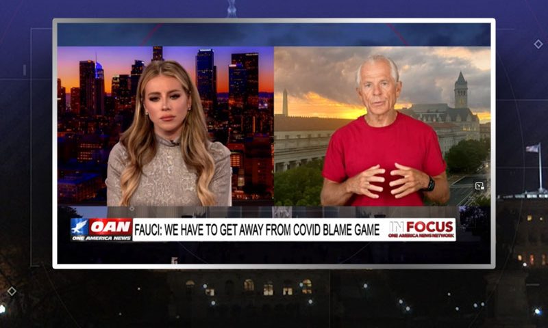 Video still from Peter Navarro's interview with In Focus on One America News Network