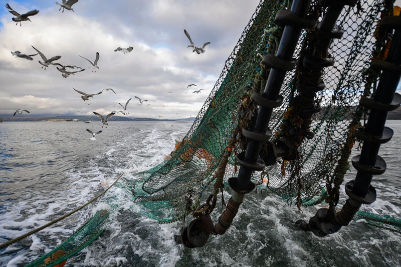 GREENOCK, SCOTLAND - MARCH 05: Seagulls follow the Guide Me prawn trawler in Loch Long on March 5, 2019 in Greenock, Scotland. Scotland’s live seafood industry is facing the probability of extra paperwork at border controls, if the UK crashes out of the European Union without any trade deal. The costs could potentially run into many millions of pounds each year even if the European Union’s stringent requirements for certificates are disregarded by transporters. (Photo by Jeff J Mitchell/Getty Images)