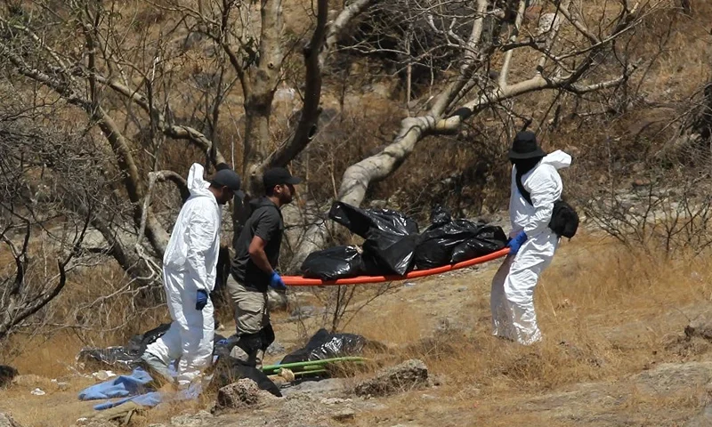 Forensic experts work with several bags of human remains extracted from the bottom of a ravine by a helicopter, which were abandoned at the Mirador Escondido community in Zapopan, Jalisco state, Mexico on May 31, 2023. The Jalisco Prosecutor's Office is investigating to find out if the remains belong to the 7 call center workers who disappeared on their way to work in recent days. (Photo by ULISES RUIZ / AFP) (Photo by ULISES RUIZ/AFP via Getty Images)