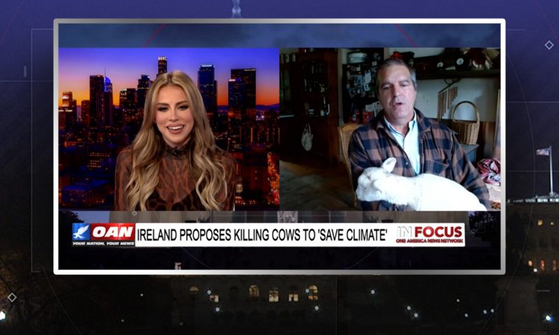 Video still from John Klar's interview with In Focus on One America News Network
