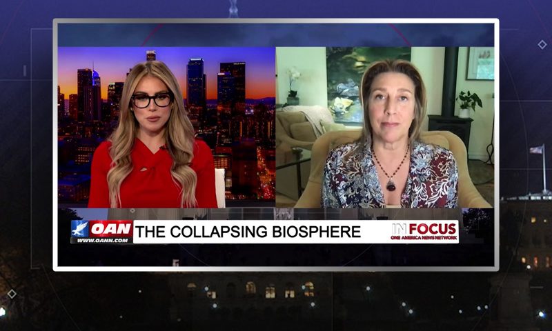 Video still from Reinette Senum's interview with In Focus on One America News Network
