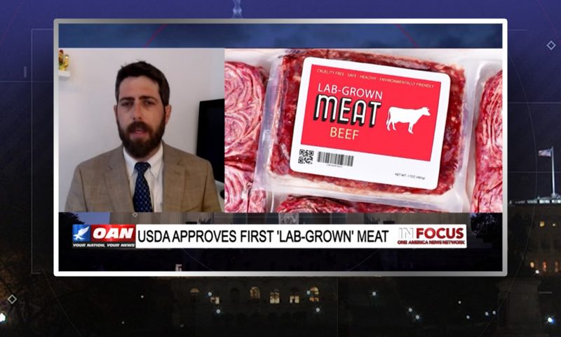 Video still from Alex Newman's interview with In Focus on One America News Network
