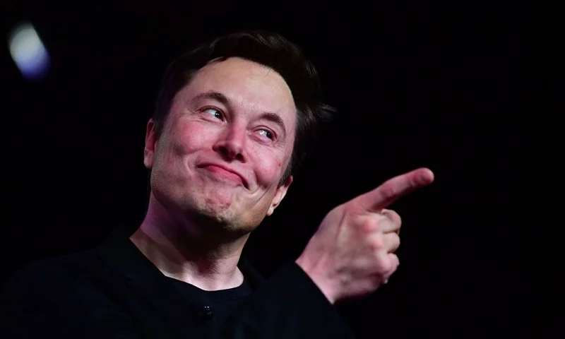 Tesla CEO Elon Musk speaks during the unveiling of the new Tesla Model Y in Hawthorne, California on March 14, 2019. (Photo by Frederic J. BROWN / AFP) (Photo credit should read FREDERIC J. BROWN/AFP via Getty Images)