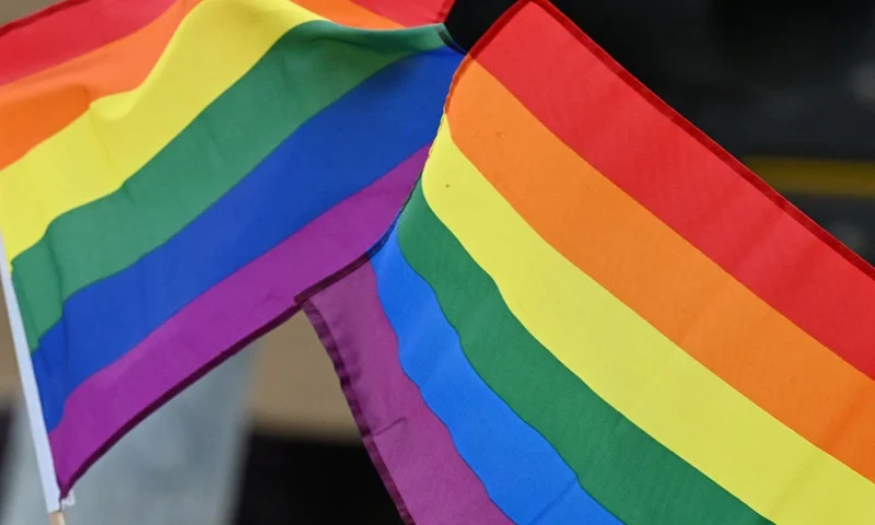 Pride flags are seen as people attend the 2023 LA Pride Parade on June 11, 2023 in Hollywood, California. The LA Pride Parade marks the last day of the three-day Los Angeles celebration of lesbian, gay, bisexual, transgender, and queer (LGBTQ) social and self-acceptance, achievements, legal rights, and pride. (Photo by Robyn Beck / AFP) (Photo by ROBYN BECK/AFP via Getty Images)