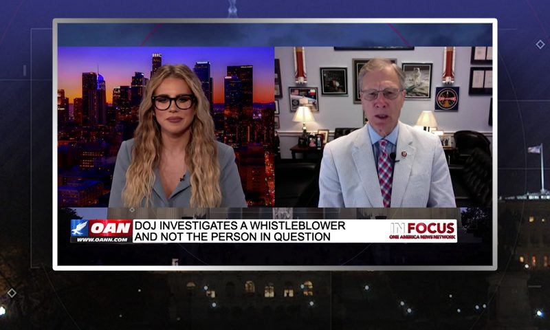 Video still from Brian Babin's interview with In Focus on One America News Network