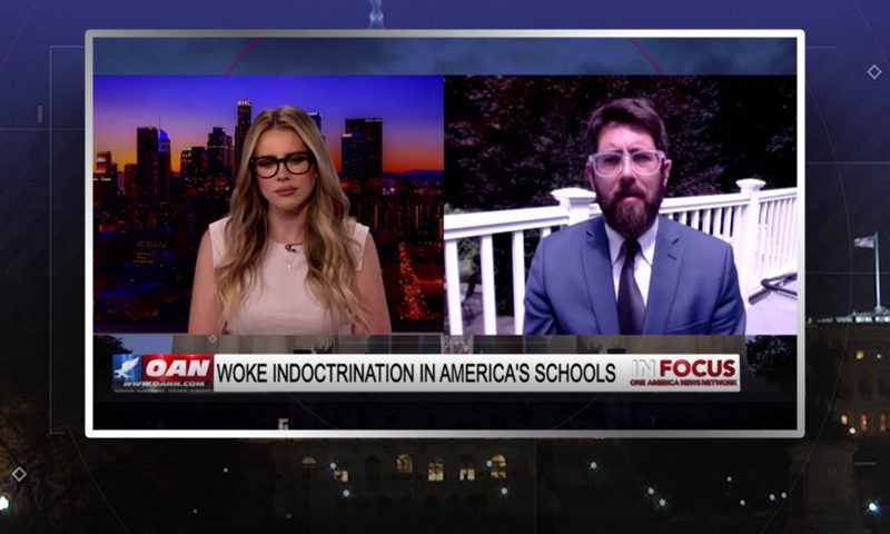 Video still from Alex Newman's interview with In Focus on One America News Network