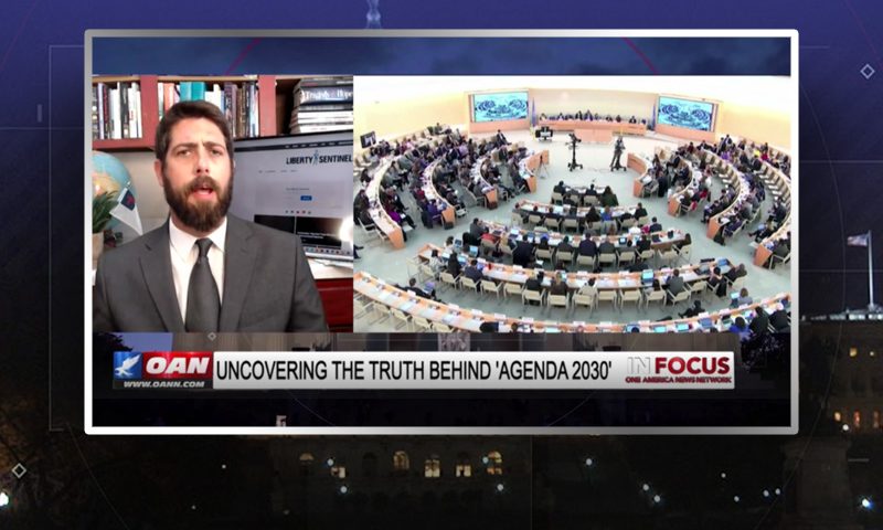 Video still from Alex Newman's interview with In Focus on One America News Network
