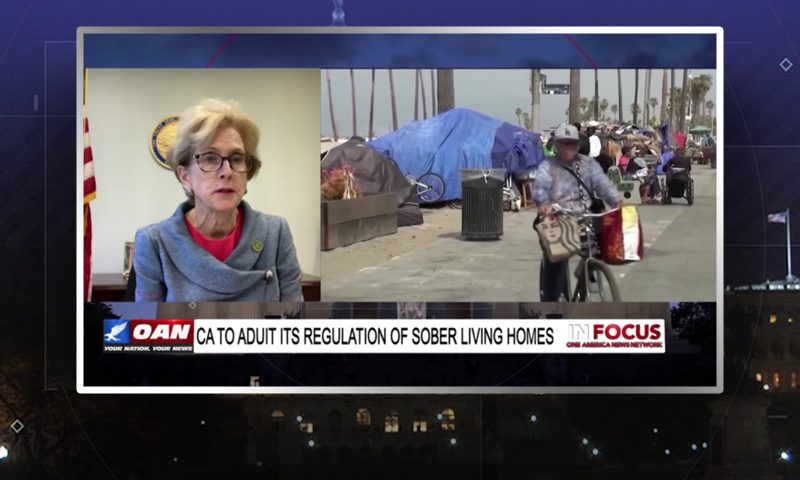 Video still from Diane Dixon's interview with In Focus on One America News Network
