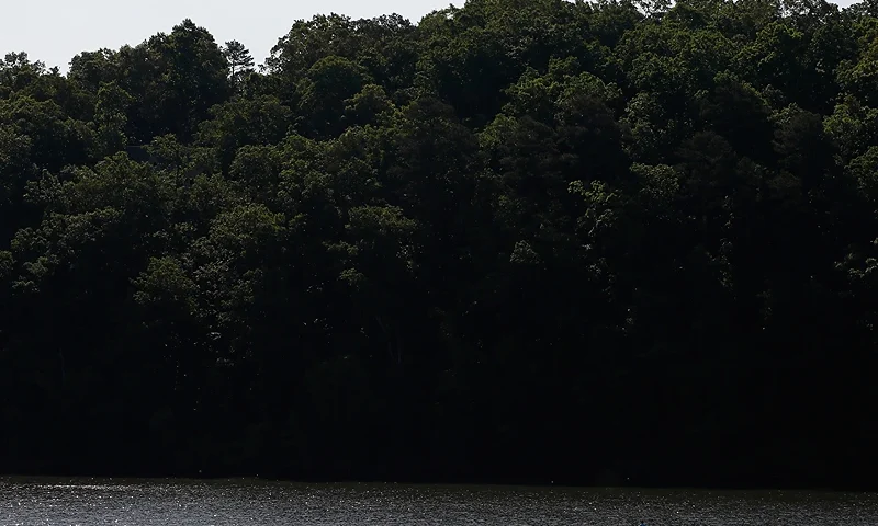 GAINESVILLE, GA - MAY 22: Two canoeist paddle to the race course during Day Four of the 2016 Canoe Kayak Pan American Championships at the Lake Lanier Olympic Venue on May 22, 2016 in Gainesville, Georgia. (Photo by Kevin C. Cox/Getty Images)