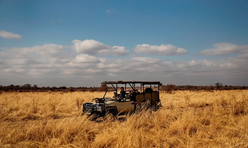 SAFRICA-HEALTH-VIRUS-TOURISM-SAFARI Tourists take part in a guided safari tour at the Dinokeng Game Reserve outside Pretoria, on August 7, 2020. - Visitors have flocked from the capital Pretoria and financial hub Johannesburg since the government allowed South Africans to travel for leisure within their provinces last week, bringing a small sliver of relief to the country's tourist industry, which has missed out on more than $3.9 billion in revenue since South Africa went into lockdown on March 27. (Photo by Michele Spatari / AFP) (Photo by MICHELE SPATARI/AFP via Getty Images)