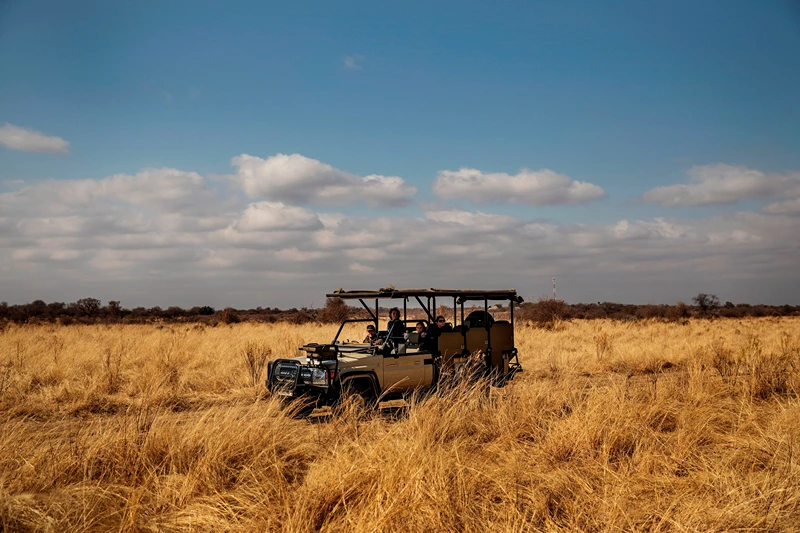 SAFRICA-HEALTH-VIRUS-TOURISM-SAFARI
Tourists take part in a guided safari tour at the Dinokeng Game Reserve outside Pretoria, on August 7, 2020. - Visitors have flocked from the capital Pretoria and financial hub Johannesburg since the government allowed South Africans to travel for leisure within their provinces last week, bringing a small sliver of relief to the country's tourist industry, which has missed out on more than $3.9 billion in revenue since South Africa went into lockdown on March 27. (Photo by Michele Spatari / AFP) (Photo by MICHELE SPATARI/AFP via Getty Images)