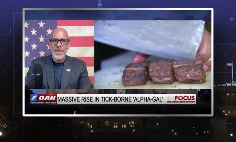 Video still from Dr. Jeff Barke's interview with In Focus on One America News Network