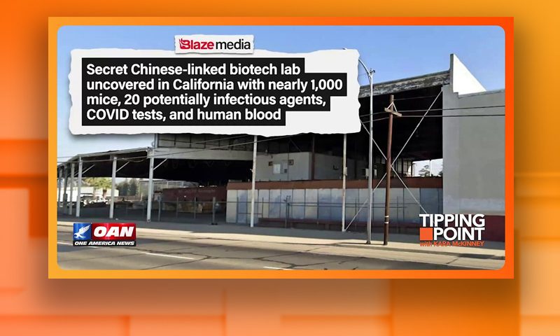 Video still from Peter J. Brown's interview with Tipping Point on One America News Network
