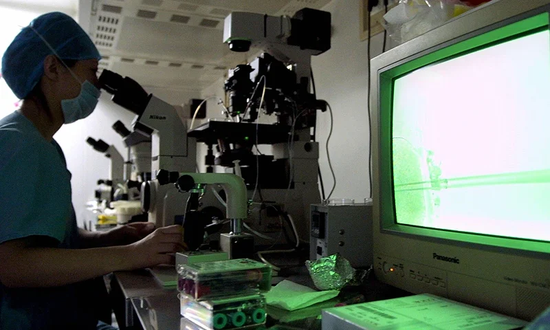 BEIJING, CHINA: A lab technician at the fertility clinic of Peking University Third Hospital in Beijing looks through a mircoscope while injecting a sperm into an egg to create an embryo for insertion into a woman, 25 March 2005. Slowly but surely, women in China are realizing there is hope out there and they do not have to helplessly suffer the intense stigma of being childless in a society that places supreme importance on having children. AFP PHOTO (Photo credit should read -/AFP via Getty Images)