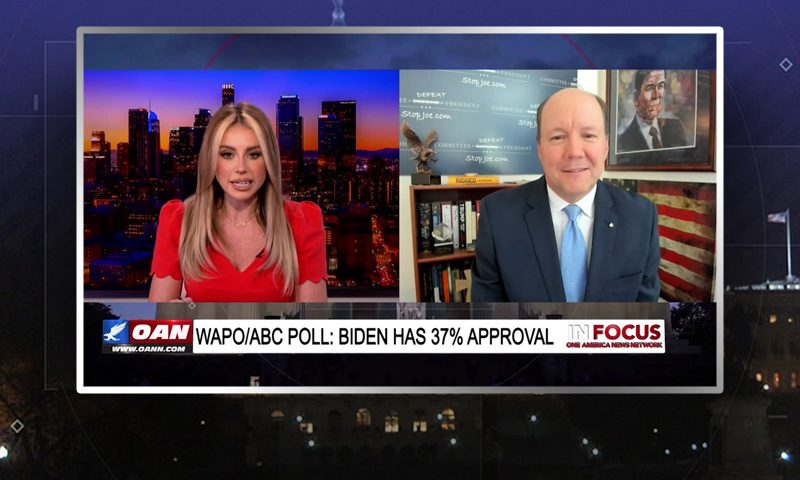 Video still from Ted Harvey's interview with In Focus on One America News Network