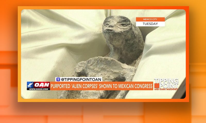 Video still from Tipping Point on One America News Network