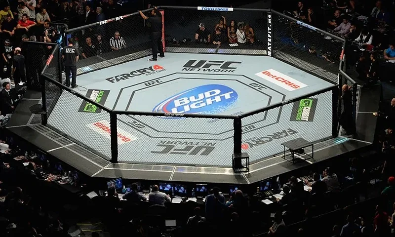 UFC 180: Werdum v Hunt MEXICO CITY, MEXICO - NOVEMBER 15: An overhead view of the Octagon as Fabricio Werdum celebrates after knocking out Mark Hunt in their interim UFC heavyweight championship bout during the UFC 180 event at Arena Ciudad de Mexico on November 15, 2014 in Mexico City, Mexico. (Photo by Josh Hedges/Zuffa LLC/Zuffa LLC via Getty Images)