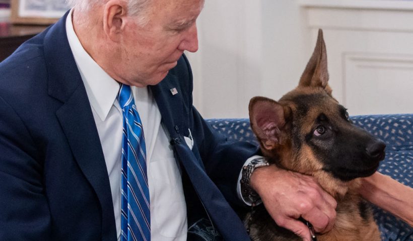 US President Joe Biden pets his new dog Commander as he speak virtually with military service members to thank them for their service and wish them a Merry Christmas, from the South Court Auditorium of the White House in Washington, DC, on December 25, 2021. (Photo by SAUL LOEB / AFP) (Photo by SAUL LOEB/AFP via Getty Images)