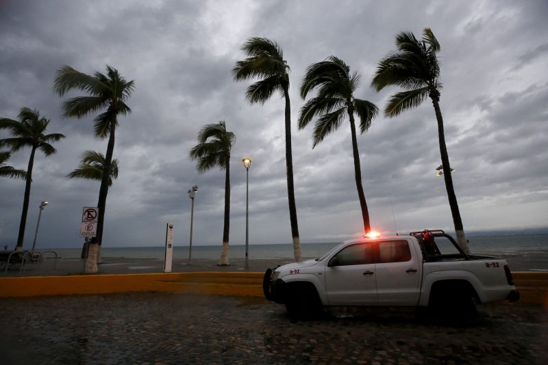 TOPSHOT - Palm trees withstand the wind in Puerto Vallarta, Jalisco State, Mexico, on October 10, 2023, as Hurricane Lidia came ashore near this popular beach resort in the Mexican Pacific coast. Hurricane Lidia made landfall Tuesday on Mexico's Pacific coast as an "extremely dangerous" Category 4 storm, threatening to bring flooding and mudslides, forecasters said. President Andres Manuel Lopez Obrador said earlier that civil protection personnel were on alert and around 6,000 members of the armed forces had been deployed to help residents. (Photo by Ulises RUIZ / AFP) (Photo by ULISES RUIZ/AFP via Getty Images)