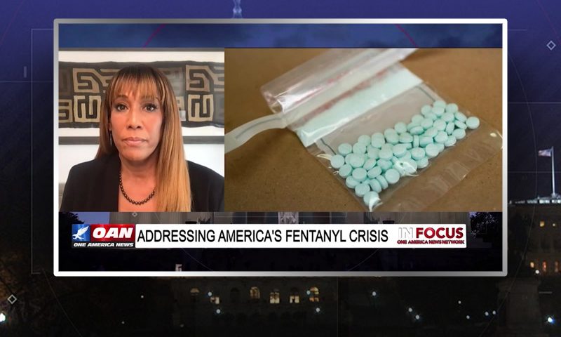 Video still from In Focus on One America News Network during an interview with the guest, Janice Celeste.