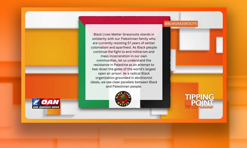 The image is a screenshot displaying a text-based content. The text includes a statement from an organization called Black Lives Matter Grassroots expressing solidarity with Palestinians and drawing parallels between the struggles of Black and Palestinian people.