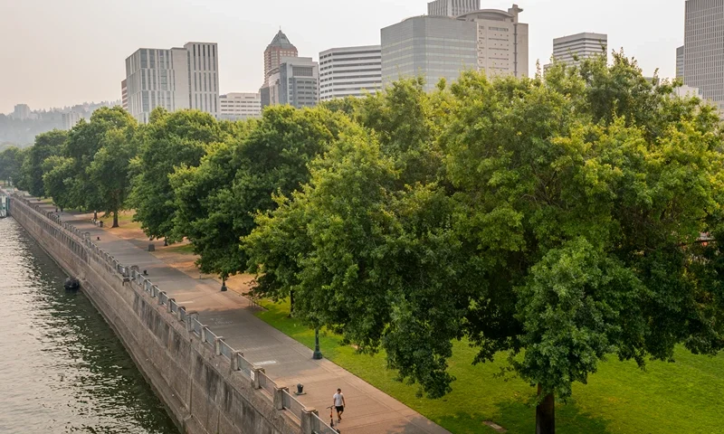 PORTLAND, OR - AUGUST 13: Wildfire smoke lingers over Downton, keeping heatwave temperatures relatively low, on August 13, 2021 in Portland, Oregon. As temperatures climb across the nation, nearly 200 million Americans are under some level of heat advisory. (Photo by Nathan Howard/Getty Images)