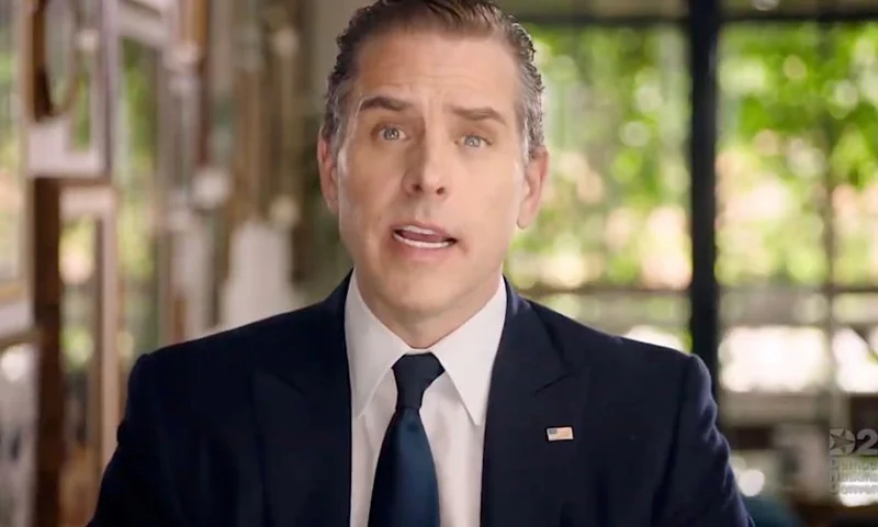 MILWAUKEE, WI - AUGUST 20: In this screenshot from the DNCC’s livestream of the 2020 Democratic National Convention, Hunter Biden, son of Democratic presidential nominee Joe Biden, addresses the virtual convention on August 20, 2020. The convention, which was once expected to draw 50,000 people to Milwaukee, Wisconsin, is now taking place virtually due to the coronavirus pandemic. (Photo by DNCC via Getty Images) (Photo by Handout/DNCC via Getty Images)