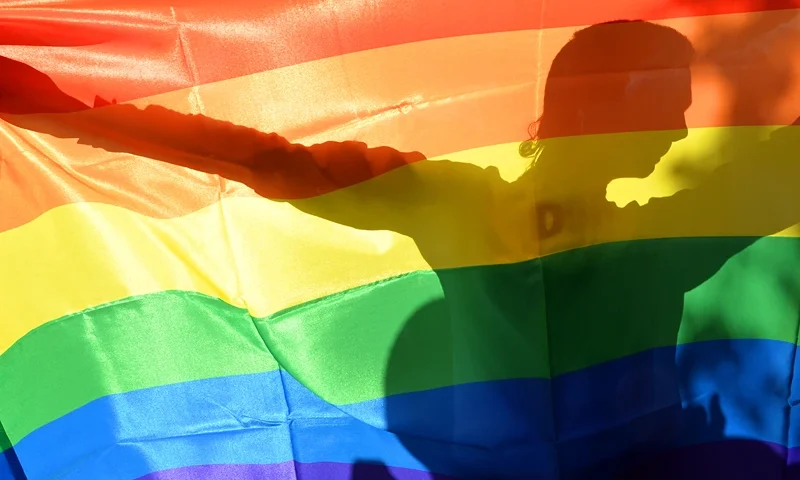 TOPSHOT-UKRAINE-SOCIAL-GAY-PARADE-PROTEST TOPSHOT - An activist's silhouette is seen through a rainbow flag during a Gay Parade in Kiev on May 25, 2013. Around a hundred gay rights activists marched in Ukraine on Saturday despite fears of violence and a court ban, marking the first gay pride event in the ex-Soviet country, where homophobia is widespread and generally accepted. AFP PHOTO/ SERGEI SUPINSKY (Photo by Sergei SUPINSKY / AFP) (Photo by SERGEI SUPINSKY/AFP via Getty Images)