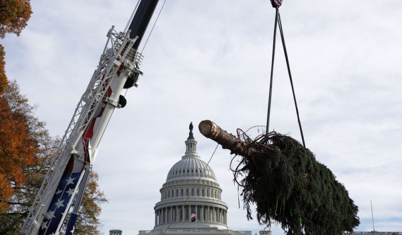 WASHINGTON, DC - NOVEMBER 17: A crane lifts the 2023 U.S. Capitol Christmas Tree to the West Front of the U.S. Capitol after it arrives on November 17, 2023 in Washington, DC. This year’s tree is a 63-foot Norway spruce from the Monongahela National Forest in West Virginia. (Photo by Alex Wong/Getty Images)