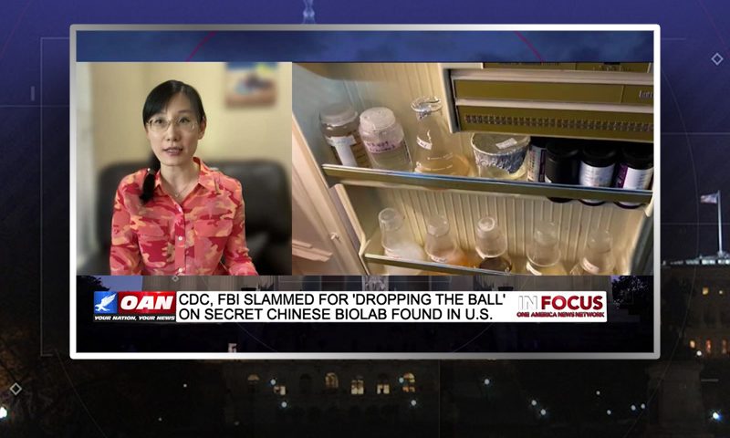 Video still from In Focus on One America News Network during an interview with the guest, Dr. Li-Meng Yan.