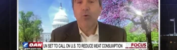 Video still from In Focus on One America News Network during an interview with the guest, Marc Morano.