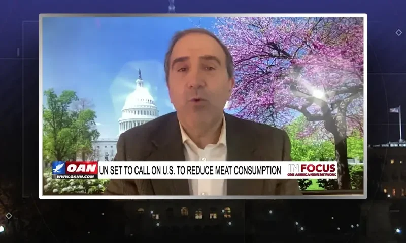 Video still from In Focus on One America News Network during an interview with the guest, Marc Morano.