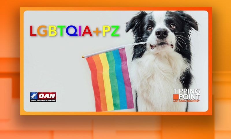 Video still from Tipping Point on One America News Network