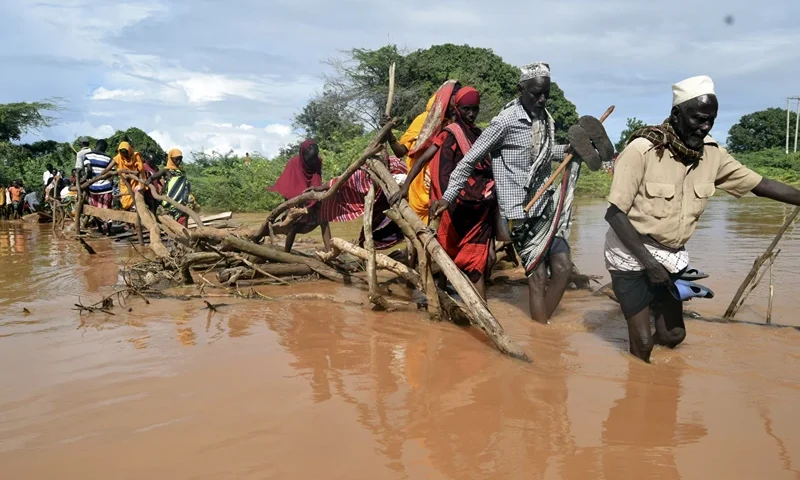 Residents of Chamwana Muma village walk through flood water after using a makeshift bridge to cross the swollen River Tana, in Tana Delta, , on Wednesday Nov. 15, 2023. Unrelenting rainfall across Kenya's northern counties and the capital, Nairobi, has led to widespread flooding, Kenya displacing an estimated 36,000 people and killing 46 people since the beginning of the rainy season less than a month ago. (AP Photo/Gideon Maundu)