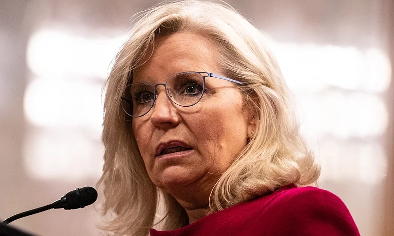 WASHINGTON, DC - JUNE 13: Liz Cheney, former Republican representative from Wyoming, speaks after being presented with the Paul H. Douglas Award for Ethics in Government on June 13, 2023 in Washington, DC. Cheney has been outspoken in her criticism of former President Donald Trump and the danger he poses to the U.S. (Photo by Anna Rose Layden/Getty Images)